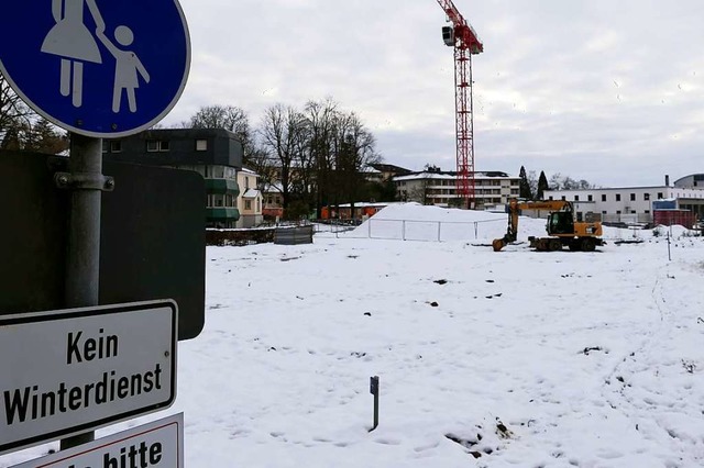 Schnee und Eis statt Hotel-Rohbau: Die...sica (Hintergrund) kommen nicht voran.  | Foto: Hans-Peter Mller