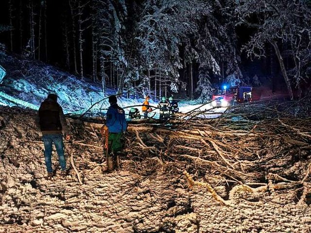 Auf dem Geisberg sind Bume unter der Schneelast umgefallen.  | Foto: Roland Fischer