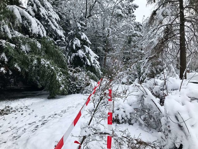 Der starke Schneefall am Wochenende so...her einige Bereiche abgesperrt werden.  | Foto: Jutta Schtz