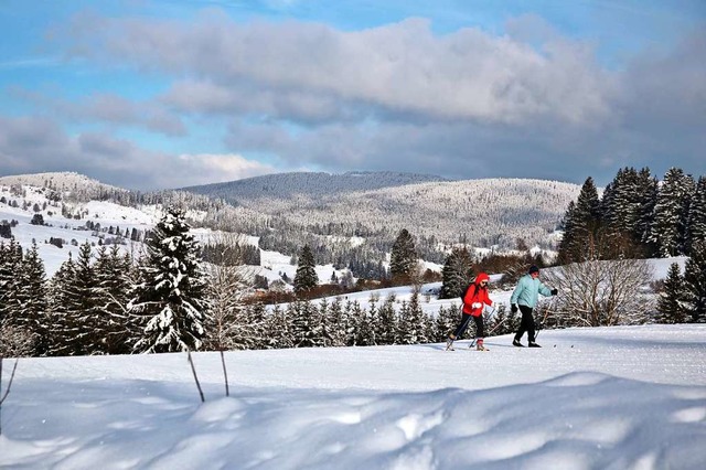 Skilanglauf ist der Trendsport des Corona-Winters.  | Foto: Ute Maier