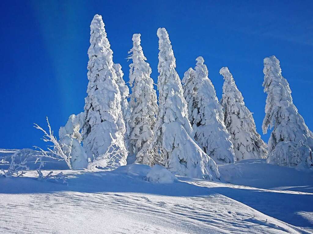 Winter am Feldberg