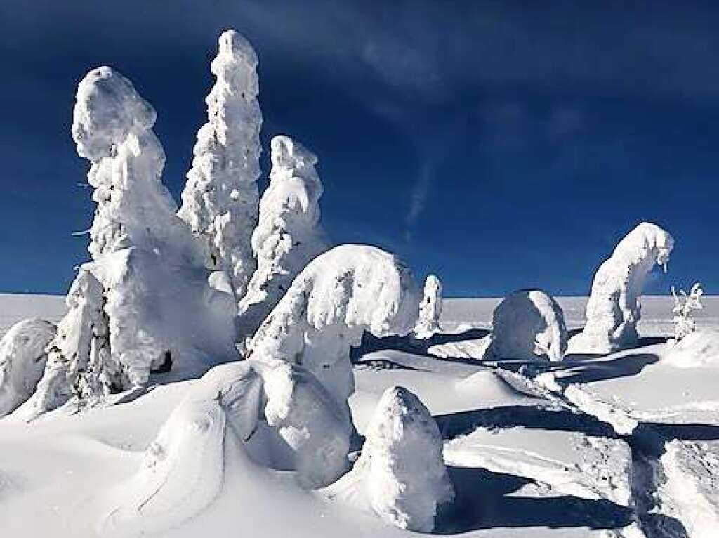 Am Rinken in Hinterzarten