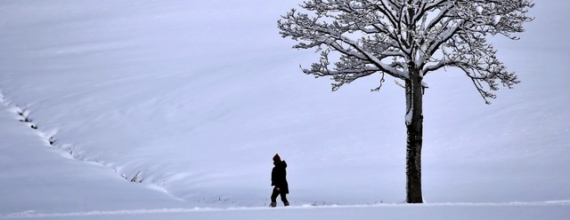 Damit Menschen und Tiere in der Natur ...ipen, Rodelhnge und Winterwanderwege.  | Foto: Ute Maier