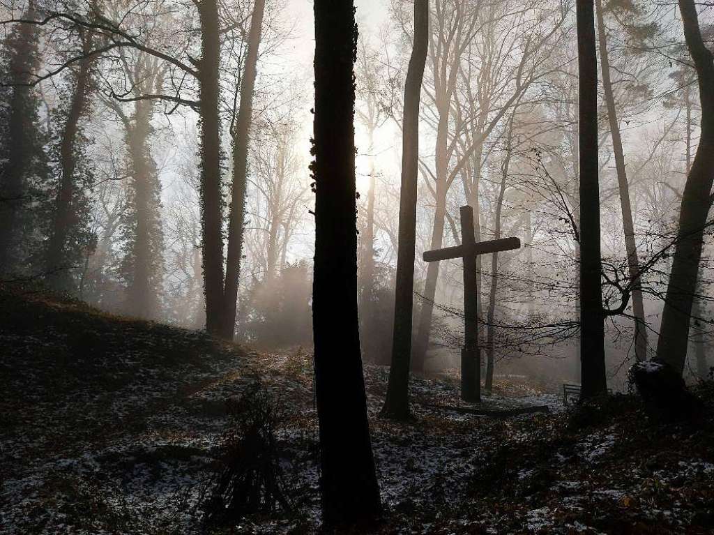 Gruselige Atmosphre im Wald im Kreis Emmendingen, wo wollte Nikolaj D nicht verraten.