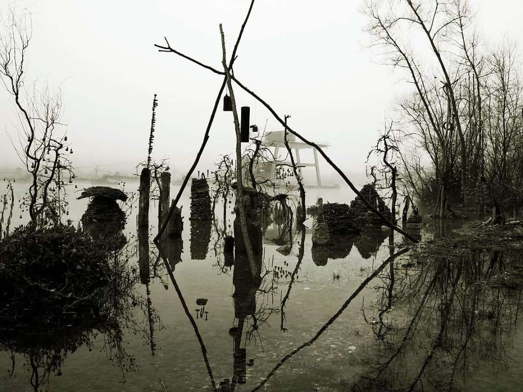 … und einmal in gruseliger Konstellation am Kenzinger Baggersee.