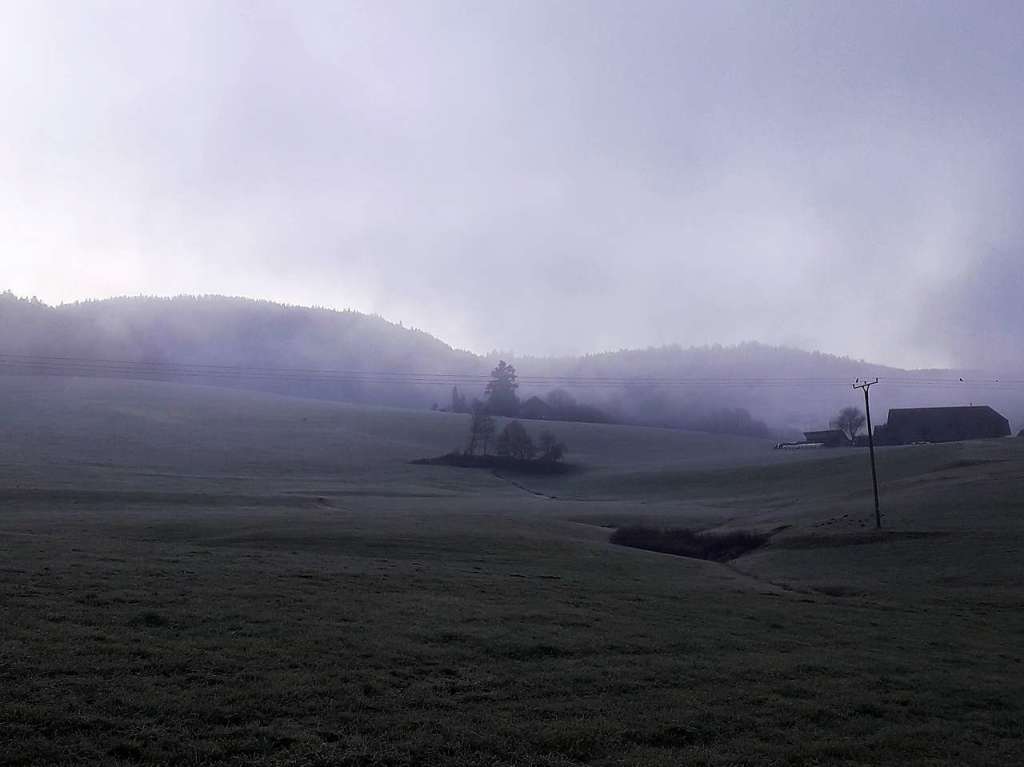 Robert Scheel, groer Twin-Peaks-Fan,  nahm den Nebel in Elzach als Motiv.