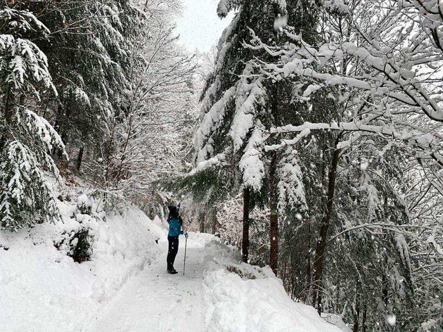 So schn wie hier bei Bad Peterstal si...ald lauert die Gefahr von Schneebruch.  | Foto: Helmut Seller