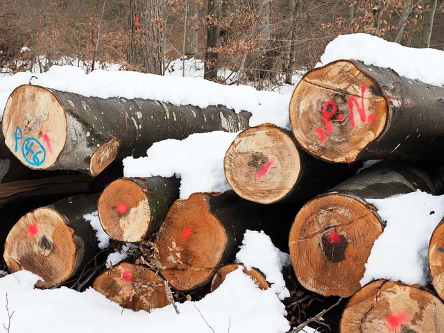 Holzeinschlag im Malterdinger Wald im Revier von Frster Bernhard Schultis  | Foto: Michael Haberer