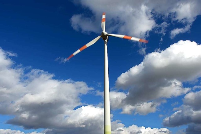 Am Taubenkopf sollen Windrder gebaut werden.  | Foto: Arne Dedert