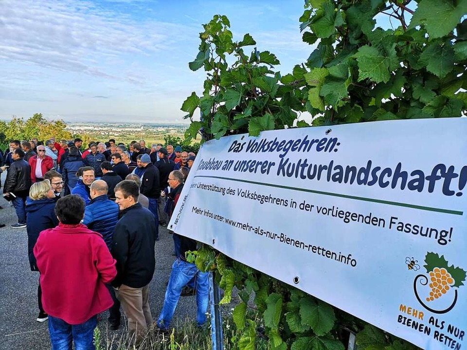 Auf der Erfolgsseite verbuchte Peter H...September 2019 beim Schloss Ortenberg.  | Foto: Ralf Burgmaier