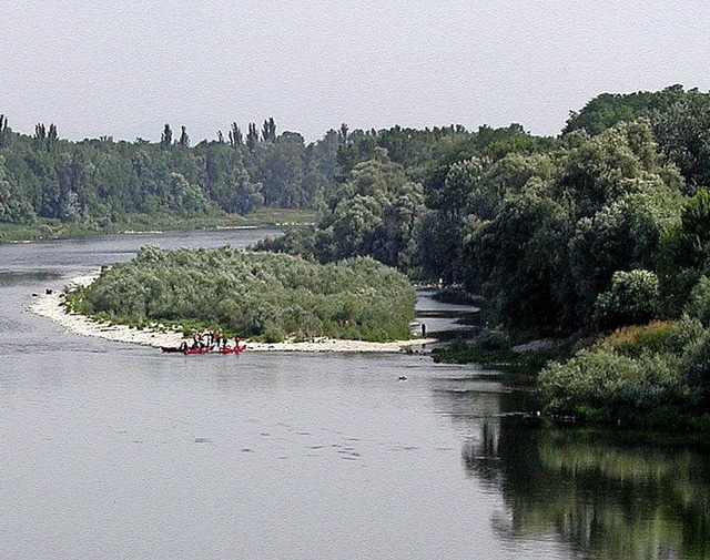 An der noch jungen Rheininsel auf Hhe... knnen auch weiterhin Boote anlegen.   | Foto: Dorothee Philipp