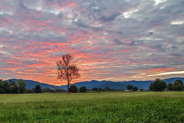 Morgendmmerung im Dreisamtal  | Foto: BERND WEHRLE