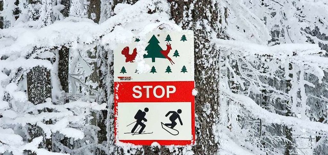 Leider ignorieren Wintersportler immer wieder die Verbote.  | Foto: Gerrit Mller