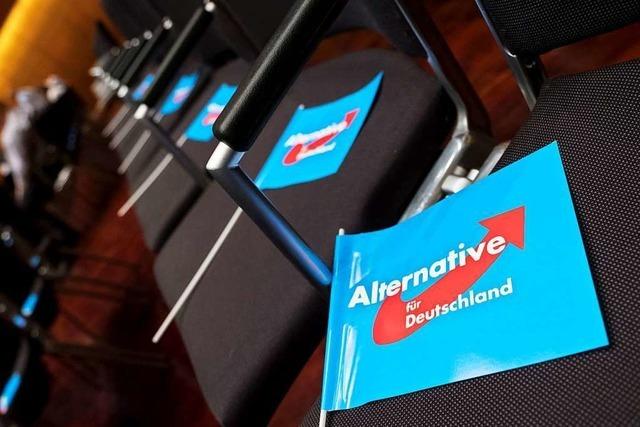 Die AfD klagt schon vorsorglich gegen ihre Beobachtung