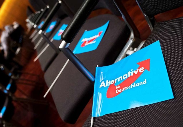 Die AfD will eine Beobachtung durch den Verfassungsschutz verhindern.  | Foto: Peter Steffen (dpa)