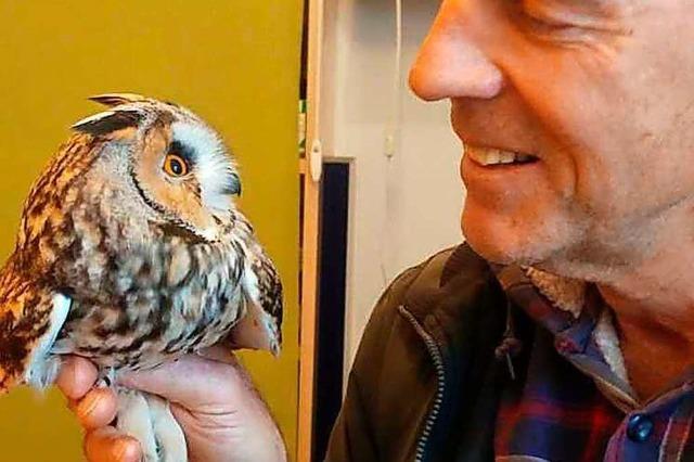 Eimeldingens ehemaliger Bürgermeister kümmert sich um verletzte Vögel