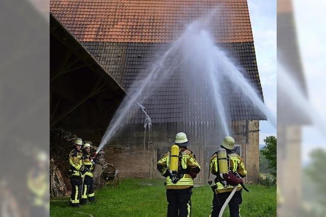 Neues Leben fr den alten Hof