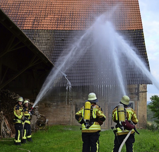 Der Giesinhof am Ortsrand von Sexau st...s 2014 bungsobjekt der Feuerwehr war.  | Foto: Hans-E. Meidhof