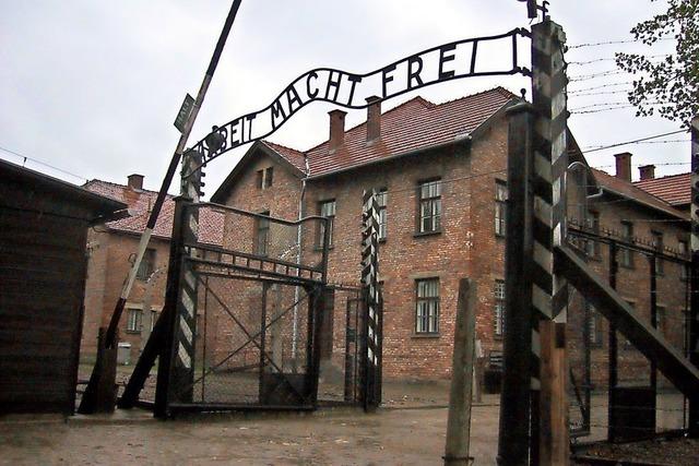Über 232 000 Kinder wurden nach Auschwitz deportiert