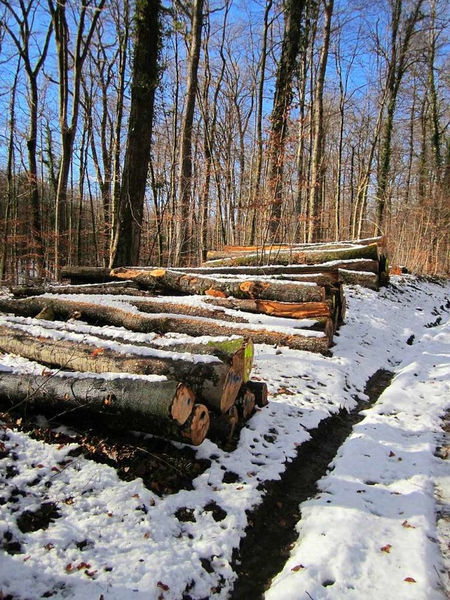 Brennholz auf Bestellung &#8211; der freie Verkauf hat durchaus Vorteile.  | Foto: Ulrich Senf