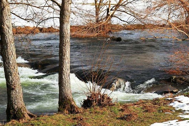 Schneeschmelze lsst Wasserstand der Wiese bei Schopfheim steigen.  | Foto: Thea Wahler