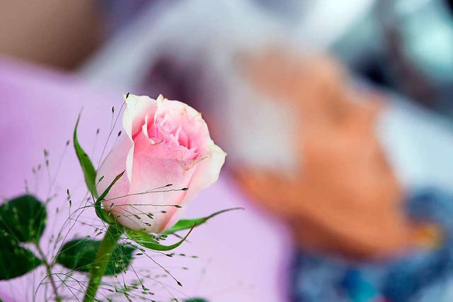 Ein Rose steht am Bett einer alten Frau in einem Hospiz.   | Foto: Swen Pfrtner