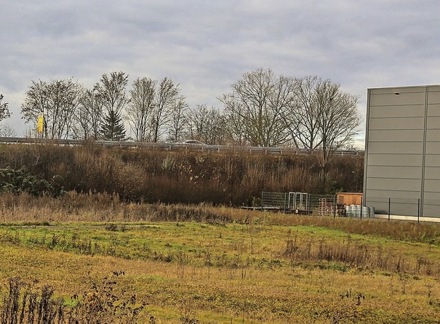 ber eine Rampe zur L103 soll einmal d...iegende Straennetz angebunden werden.  | Foto: Sandra Decoux-Kone