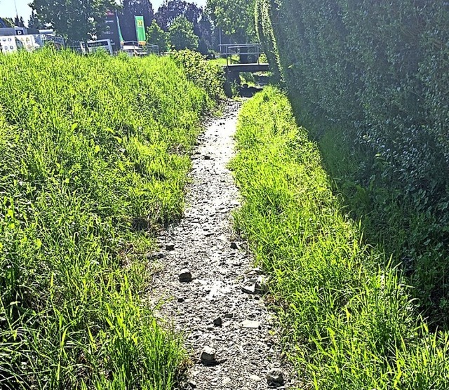 Komplett ausgetrocknet war das Wuhr im vergangenen Sommer.  | Foto: Stadt Schopfheim