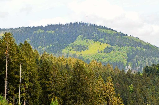 Bis zu neun Windrder waren bisher auf...g Elbenschwand und Bllen im Gesprch.  | Foto: Edgar Steinfelder