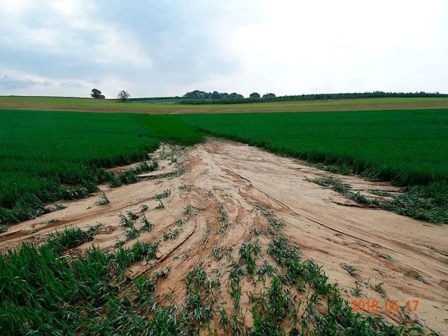 Erosion bei Schallbach  | Foto: : Patrick Blau, BGU, Inzlingen 