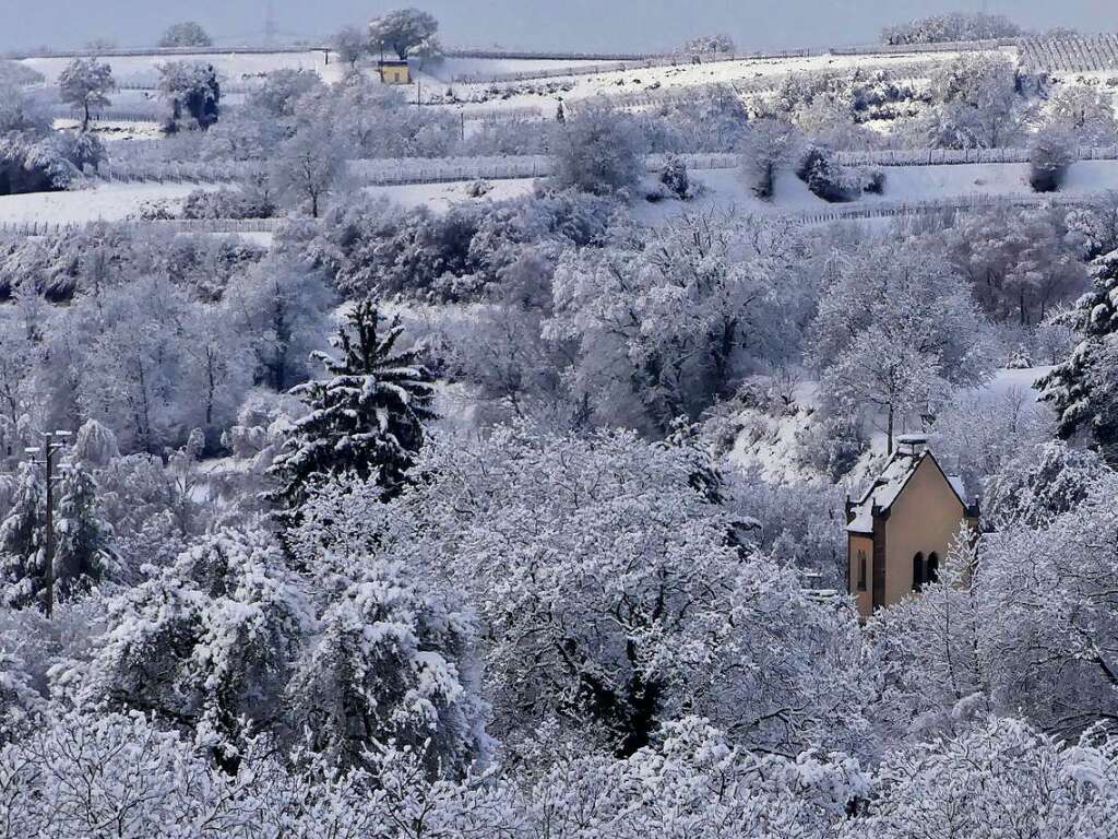 Auf dem Weg von der groen Kinzge zum Wpplinsberg fand Dorothea Nusser-Schz aus Emmendingen genau den ort, von dem es so scheint, als stehe die Mundinger Kirche mitten im Wald.