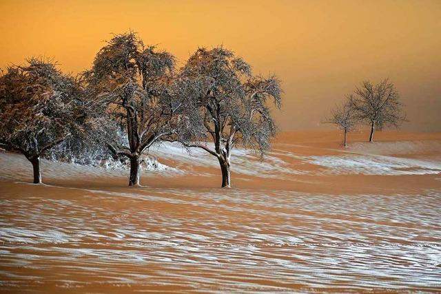 Fotos: Das sind die schnsten Winterbilder unserer Leser