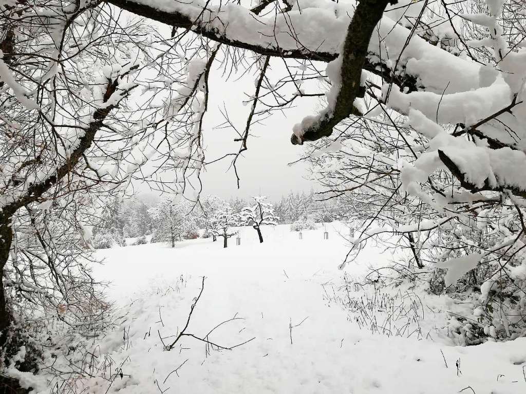 Naherholung in Steinen und Umgebung whrend des Winterlockdowns – so beschrieb  Roswitha Rhein ihr Foto.