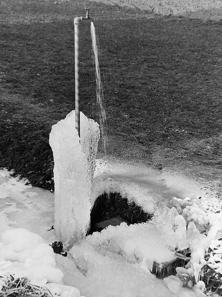 Eisblumen blhten am Kollmarsreuter Wehr