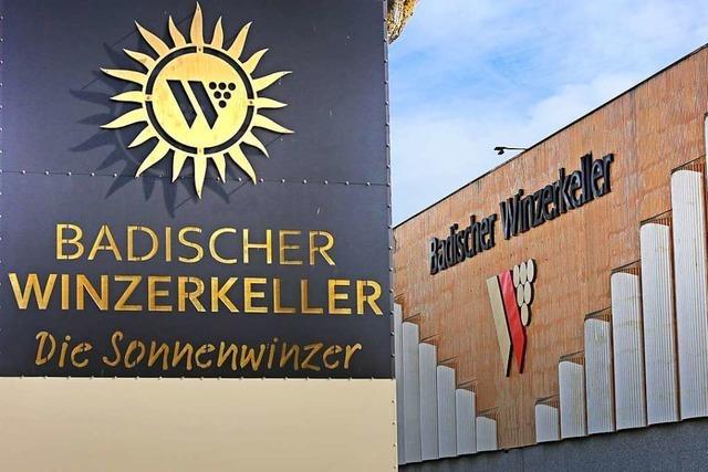 Badischer Winzerkeller kndigt Kellermeister und erntet viel rger