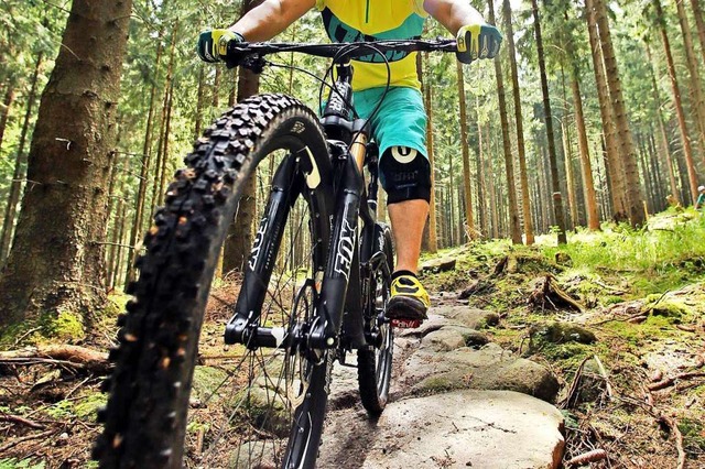Der Verein Mountainbike Lrrach will die Interessen von Bikern vertreten.  | Foto: Jan Woitas