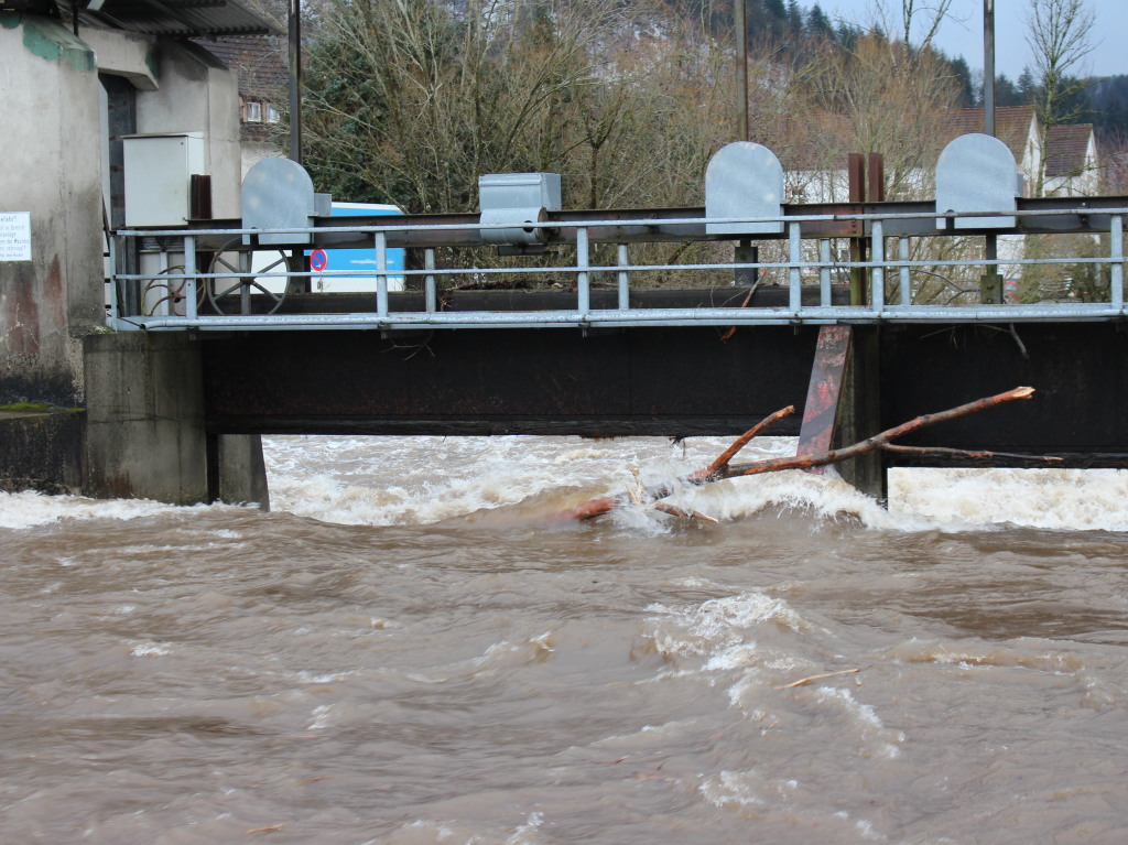 Ganze Baumstmme trug die Flut mit sich, hier in Zell Hhe Wiesenstrae