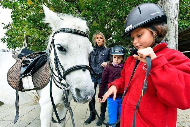 Beim Pferdesportverein Eichenbrunnen kommen Kinder in Kontakt mit Pferden