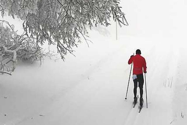 Trotz Tauwetter und Regen: Loipen im Schwarzwald haben noch Schnee