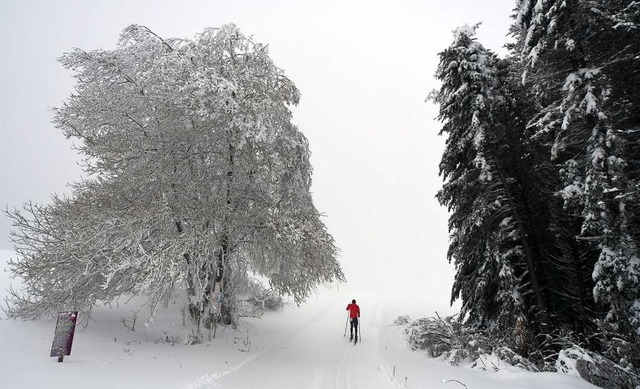 Experten rechnen damit, dass am Sonntag gute Langlauf-Bedingungen herrschen.  | Foto: Patrick Seeger