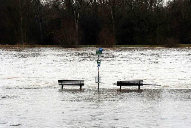 Fotos: Das Hochwasser in der Ortenau