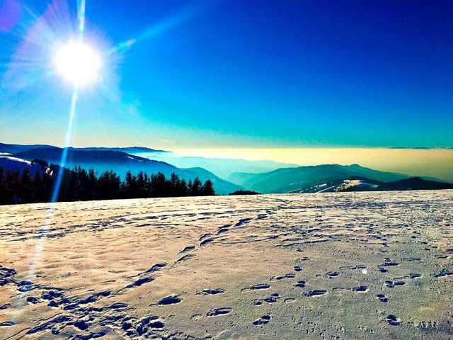 Wo andere Urlaub machen  | Foto: Herbert Koch