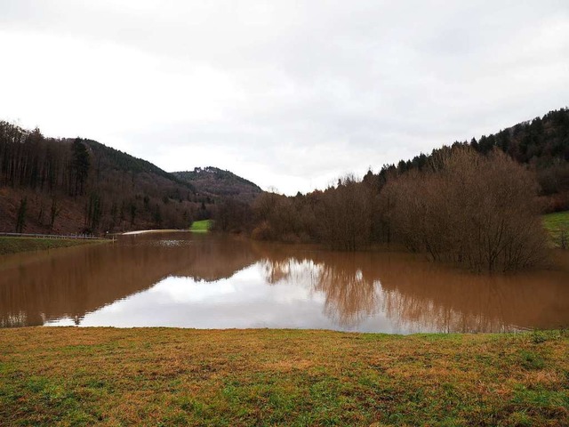 Vor allem die Schneeschmelze in Freiam...egenrckhaltebecken Erlenmatten staut.  | Foto: Michael Haberer