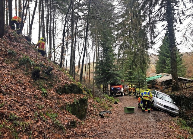 Mit Seilwinde und Greifzug sicherte di...dann behutsam auf den Waldweg zurck.   | Foto: Feuerwehr Herbolzheim