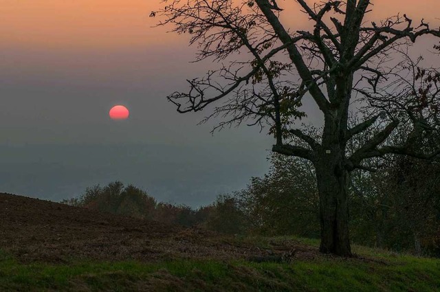 Die Sonne erscheint tiefrot hinter dem Nebel auf der Lucke  | Foto: ANCO.LINDNER@T-ONLINE.DE