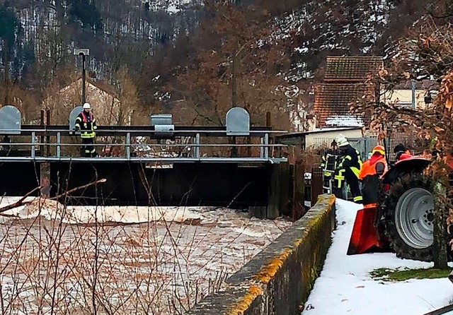 Am Stauwehr in der Schopfheimerstrae musste die Feuerwehr einen Baum entfernen.  | Foto: Feuerwehr