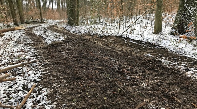 Wanderer haben sich ber die tiefen Spuren im Waldboden gewundert.  | Foto: Jutta Schtz