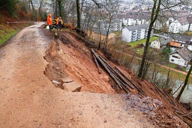 Am Entegast in Schopfheim gehen mehrere Erdrutsche ab