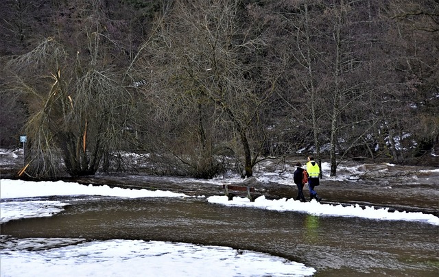 Land unter bei Schopfheim: Die Wiese steht so hoch wie der Radweg.   | Foto: Angelika Schmidt