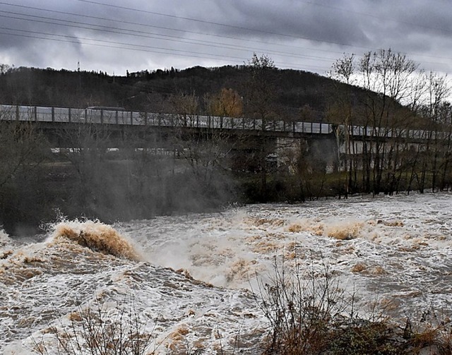 Das Hochwasser in Lrrach  | Foto: Maja Tolsdorf